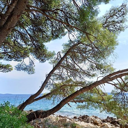 Apartments Jaksic Trogir Exterior foto
