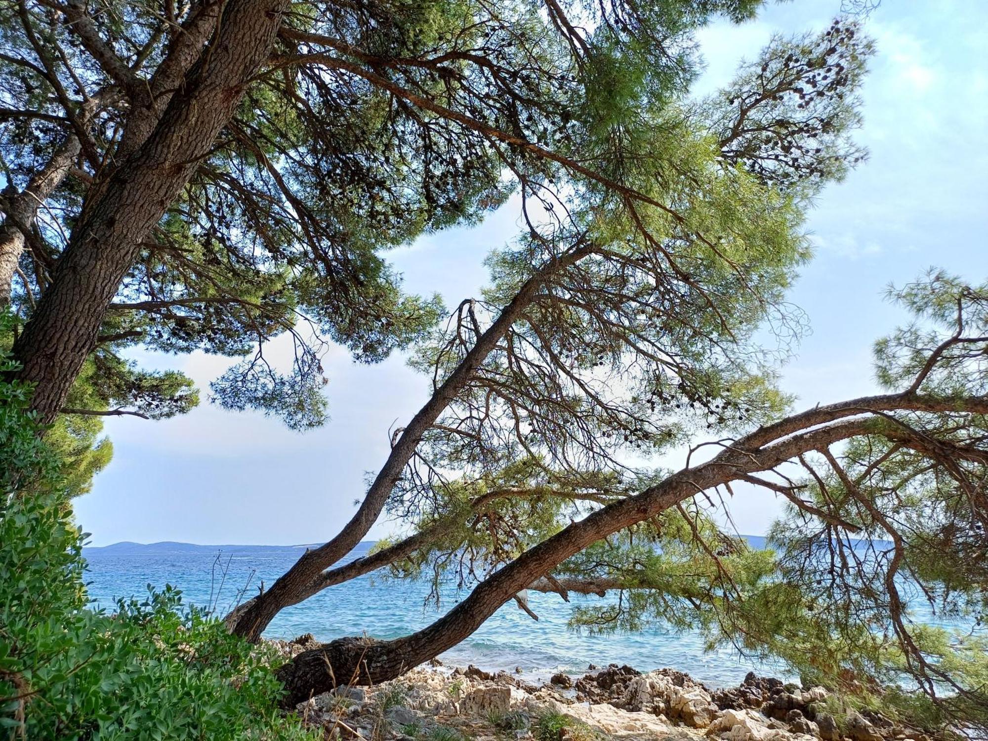 Apartments Jaksic Trogir Exterior foto